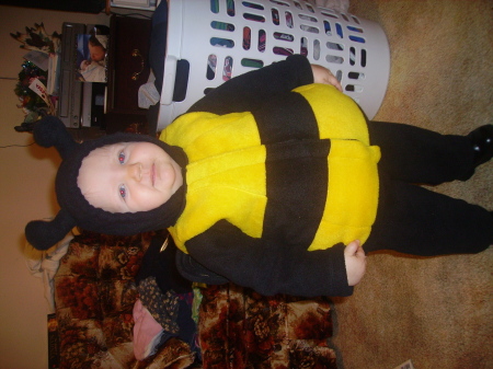 my bumblebee