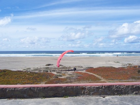 Landing my paraglider in my front yard