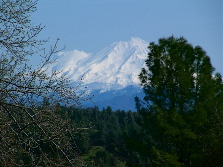 Mt. Shasta