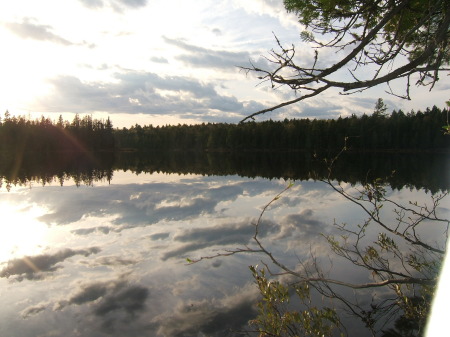 Frost Pond Evening May 2008