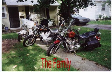 My Harleys