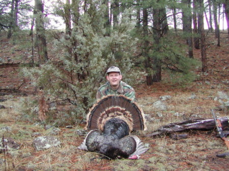 turkey hunt