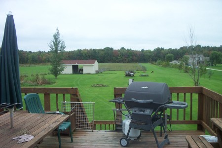 the back yard/ horse barn