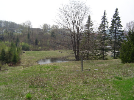 Ball diamond from the guard house, LSD