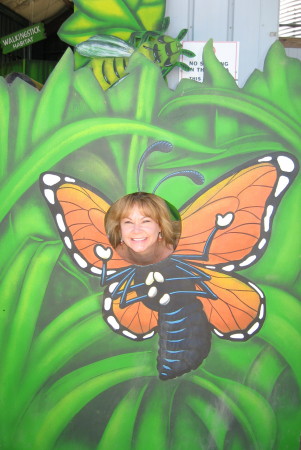 Mary the butterfly  State Fair '07