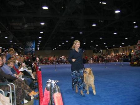 Long Beach Dog Show