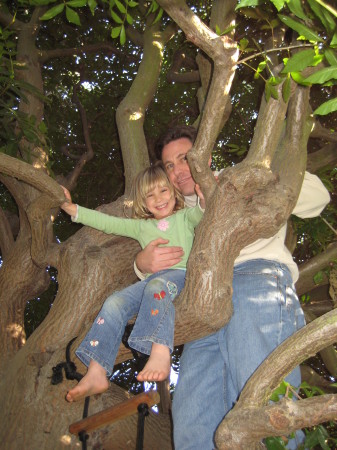 hanging out in the tree