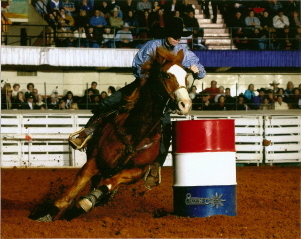 Ft Worth Stock Show Rodeo