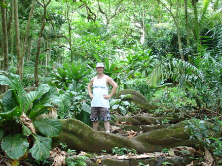 Exploring the jungle.