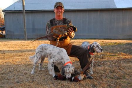 pheasant hunt