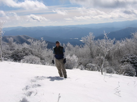 Spence Field, Smokies