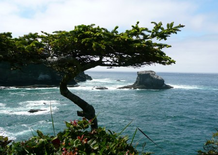 Cape Flattery