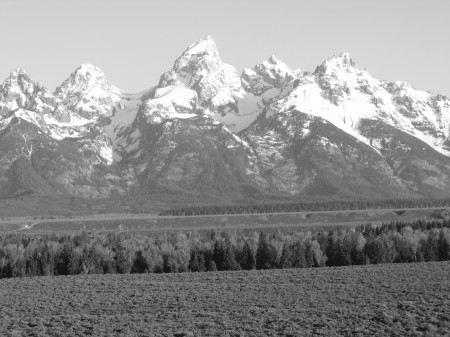 Grand Tetons