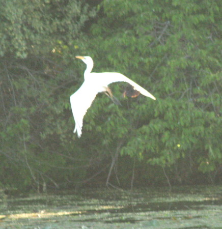 heron approach