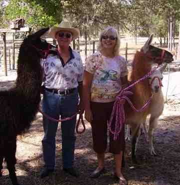 Winnie and I with 3 of our 5 llamas