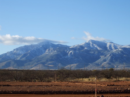 View from my back porch