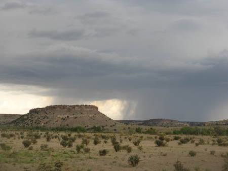 mesa rain 2011