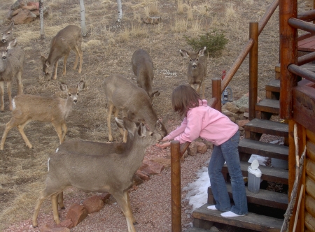 At home in Co.  Nicole feeds the deer
