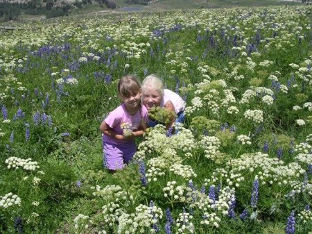 Megan (5) and Kaylin (9)