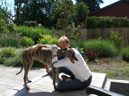 this is my retired racing greyhound, nellie.