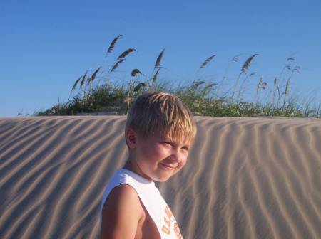 Baron on the Beachside Sand Dunes