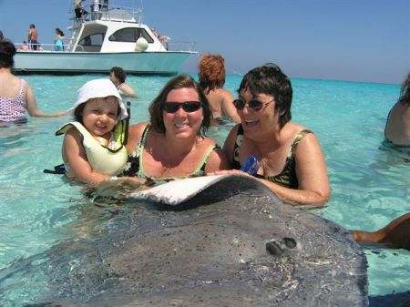 Swimming with the stingrays