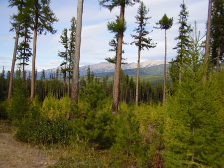 Living in Seeley Lake Montana.