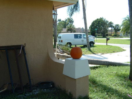 This pumpkin stayed here thru 130 MPH winds