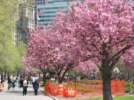 Spring in New York City