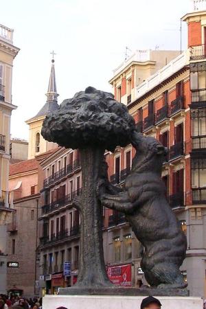 The Madrid Bear