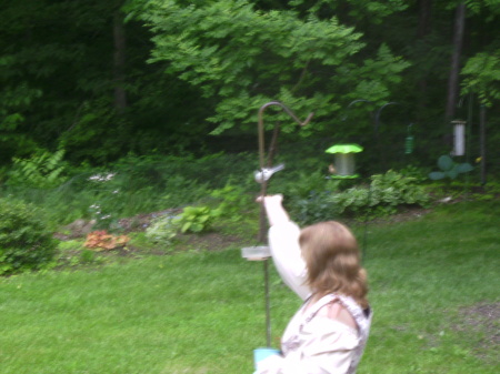 Hand feeding birds in my backyard