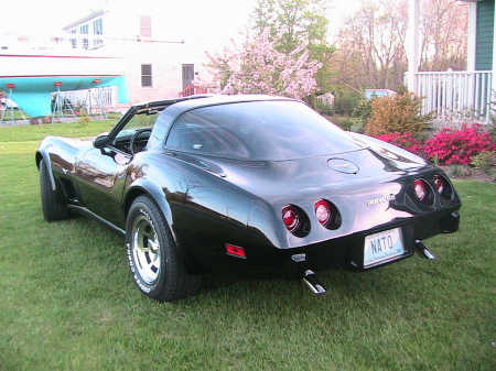 rear left ass of the nato vette