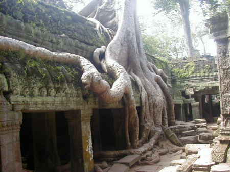 Thom Wat at Angor Wat, Cambodia