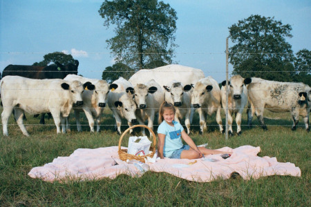 Taylor having a A Picnic in the Early Days
