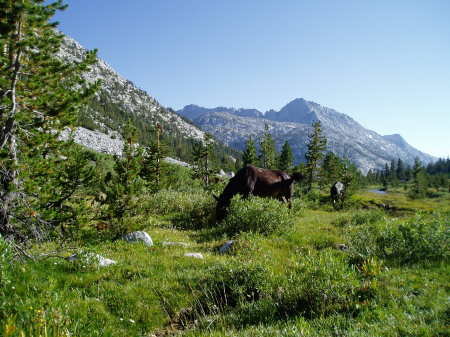 French Canyon, John Muir Wilderness