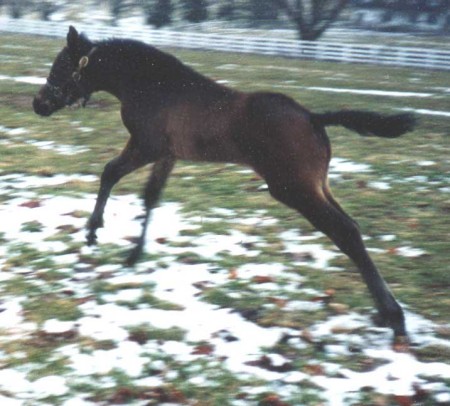 Emmy at two weeks  Spring 2003