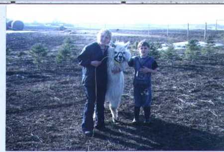 Kids and our new Alpaca