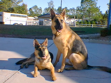 Dakota and Sierra