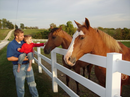 Son Derek, grandson Preston, neighbor's horses