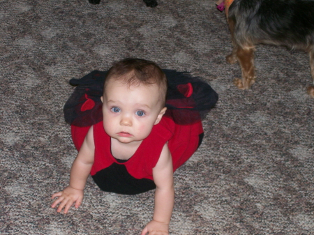 Danica's first halloween costume(lady bug)