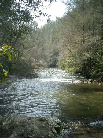 Abrahm Falls