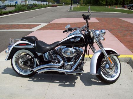 My Newest Harley Davidson