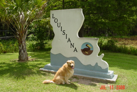 Louisiana Rest Stop
