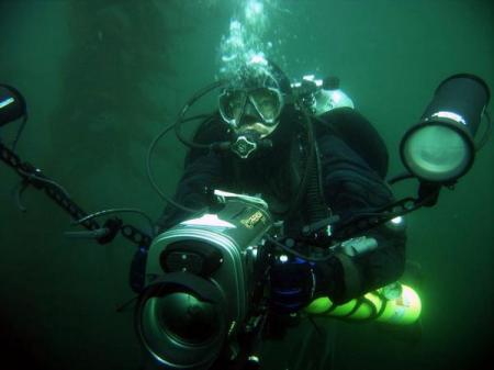 Cruising through a kelp forest.