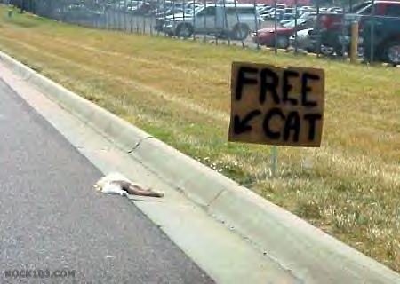 freecat