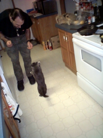 Master Cook and Cat Trainer...