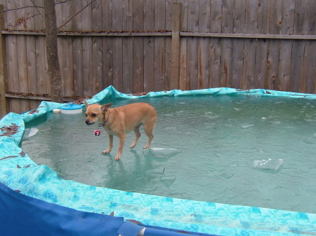 IceCapades in the backyard