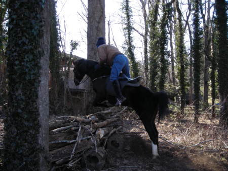Here I am  Jumping Patty's horse "Whippersnapper" we are going over about 3 feet slightly uphill; it is truely a thrill at full canter... am I too old for this at 57? NOT!!! lots of laughs