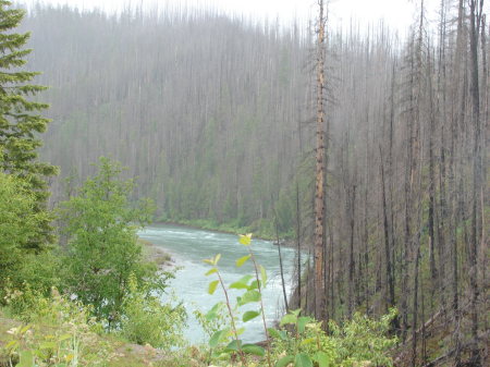 glacier national park, MT