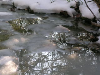 Ice reflections